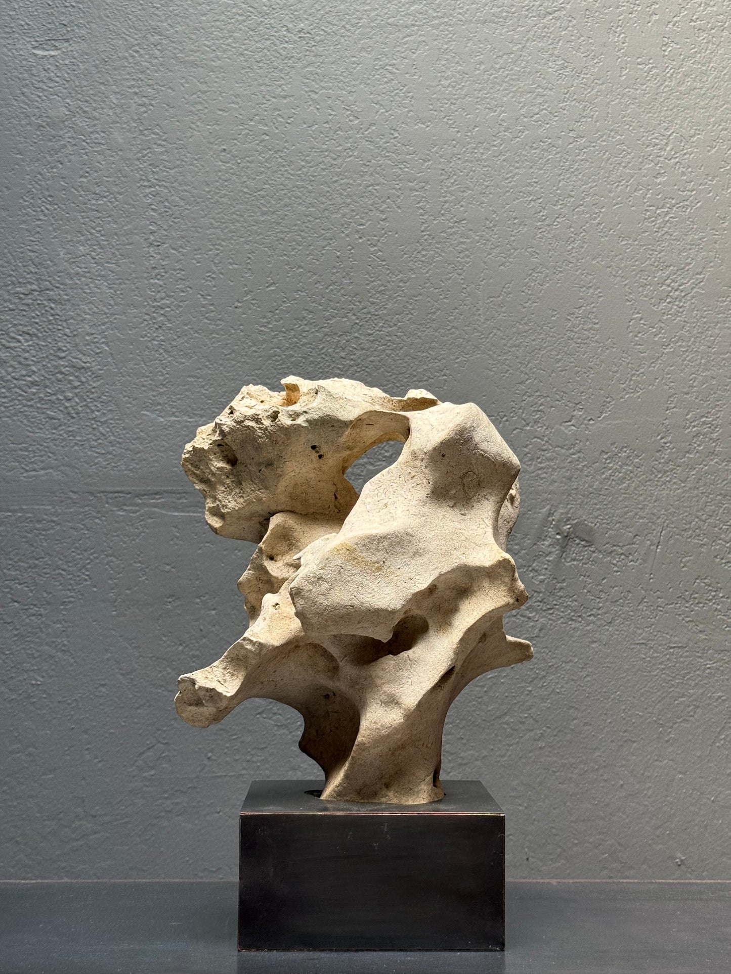 Alternate angle of Philippine tidal limestone, 22-inch height natural sculpture