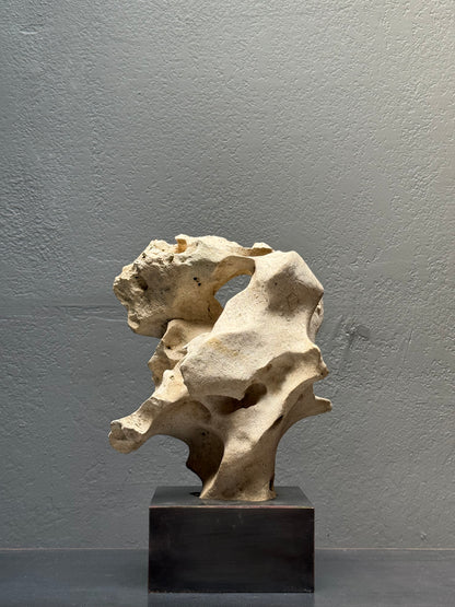 Alternate angle of Philippine tidal limestone, 22-inch height natural sculpture