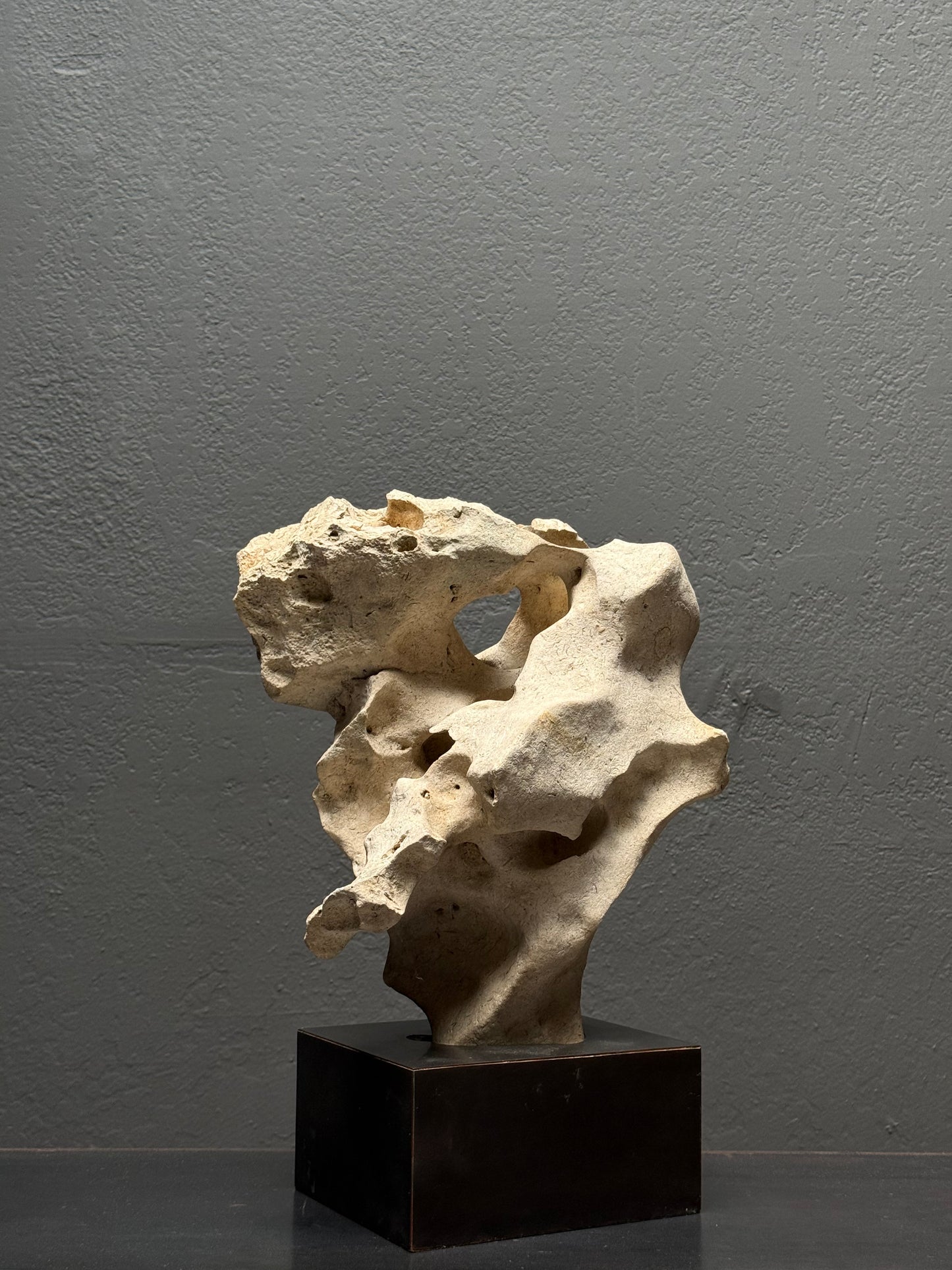 Side view of Philippine eroded limestone showing sculptural quality