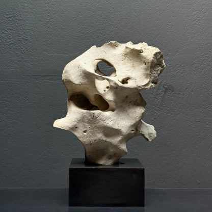 Philippine tidal limestone with circular erosion depressions, natural sculpture