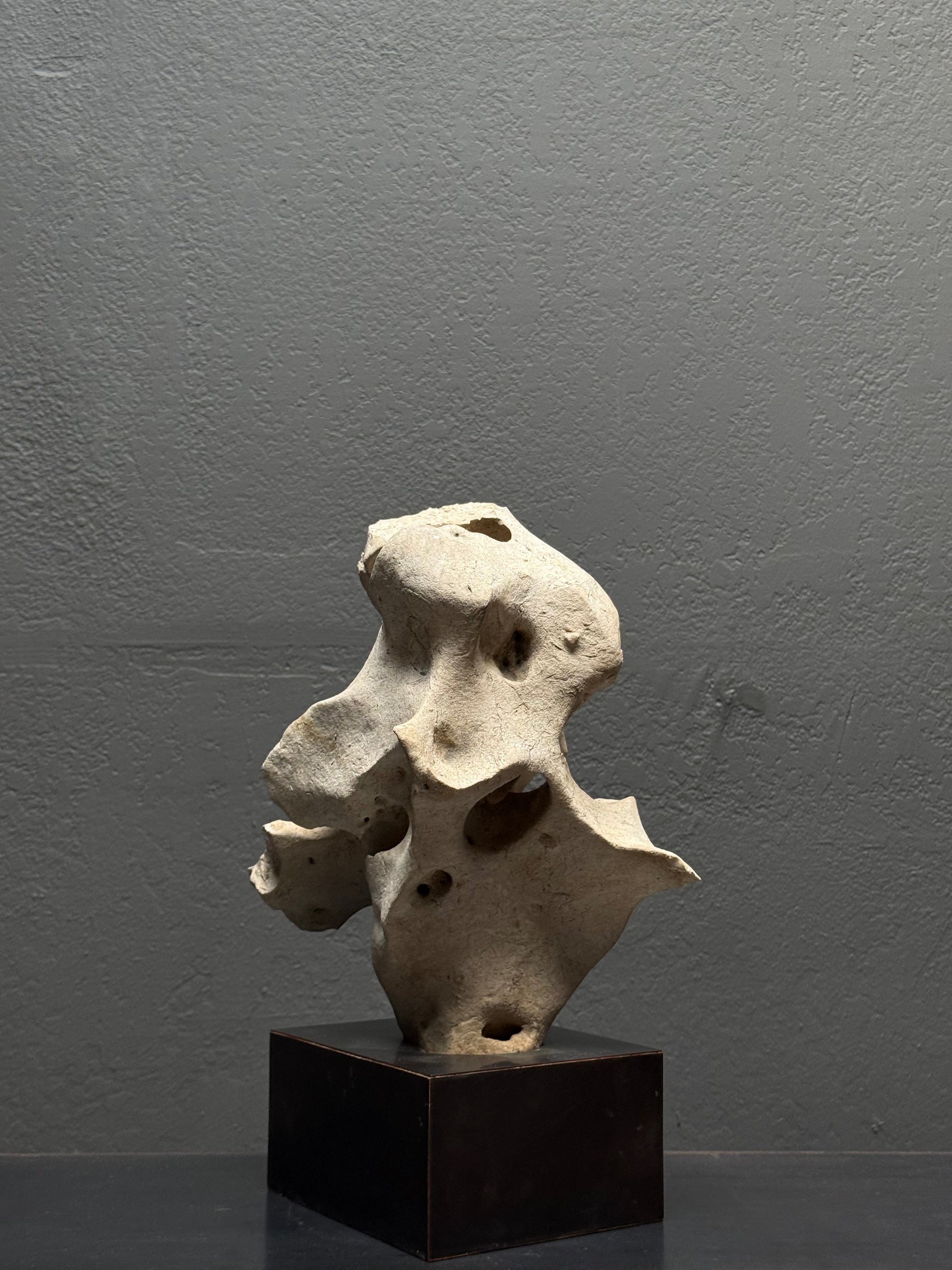 Top view of Philippine tidal limestone showing multiple erosion depressions