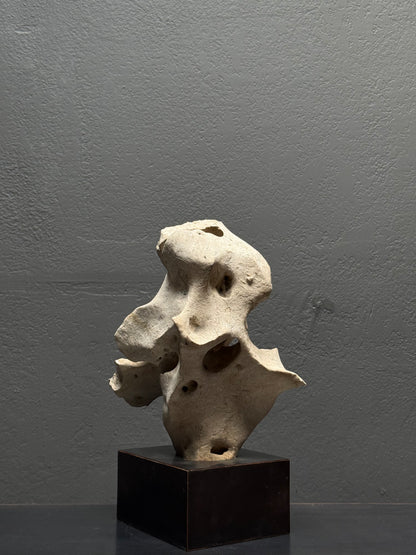 Top view of Philippine tidal limestone showing multiple erosion depressions