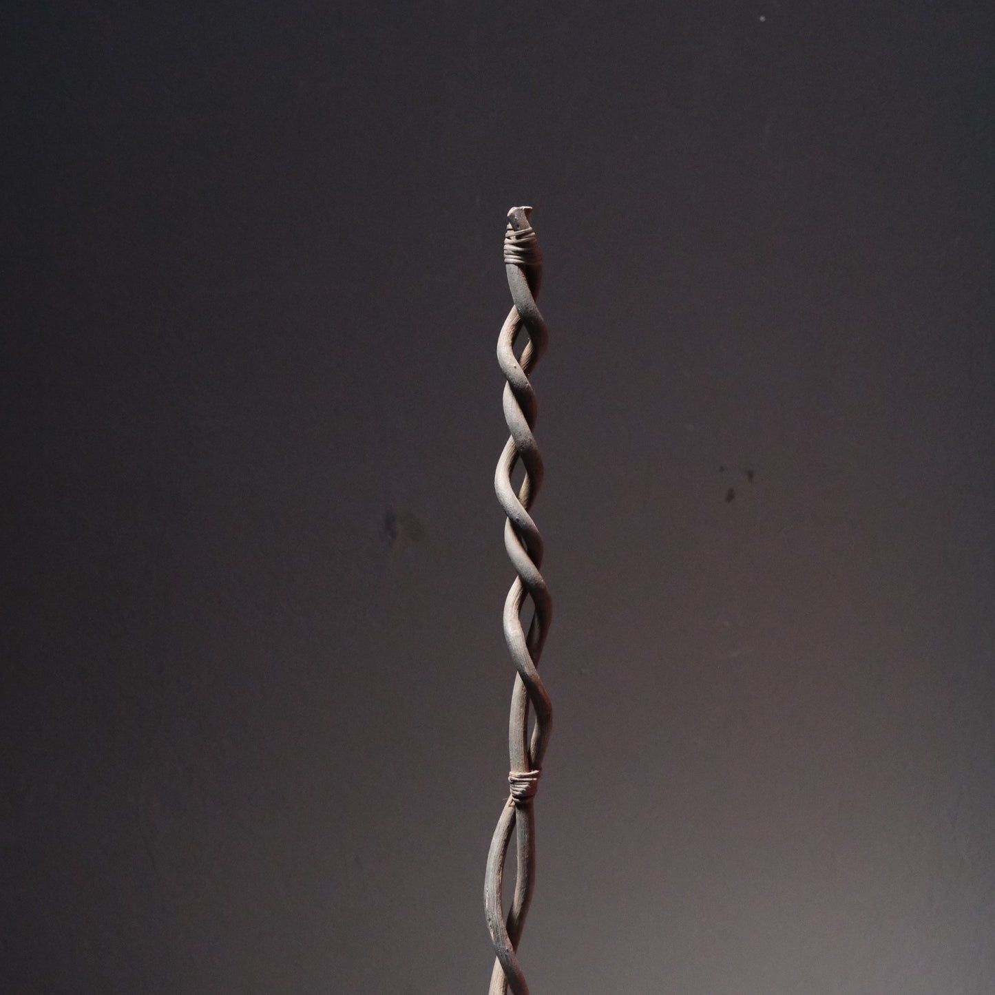 Twisted Staff