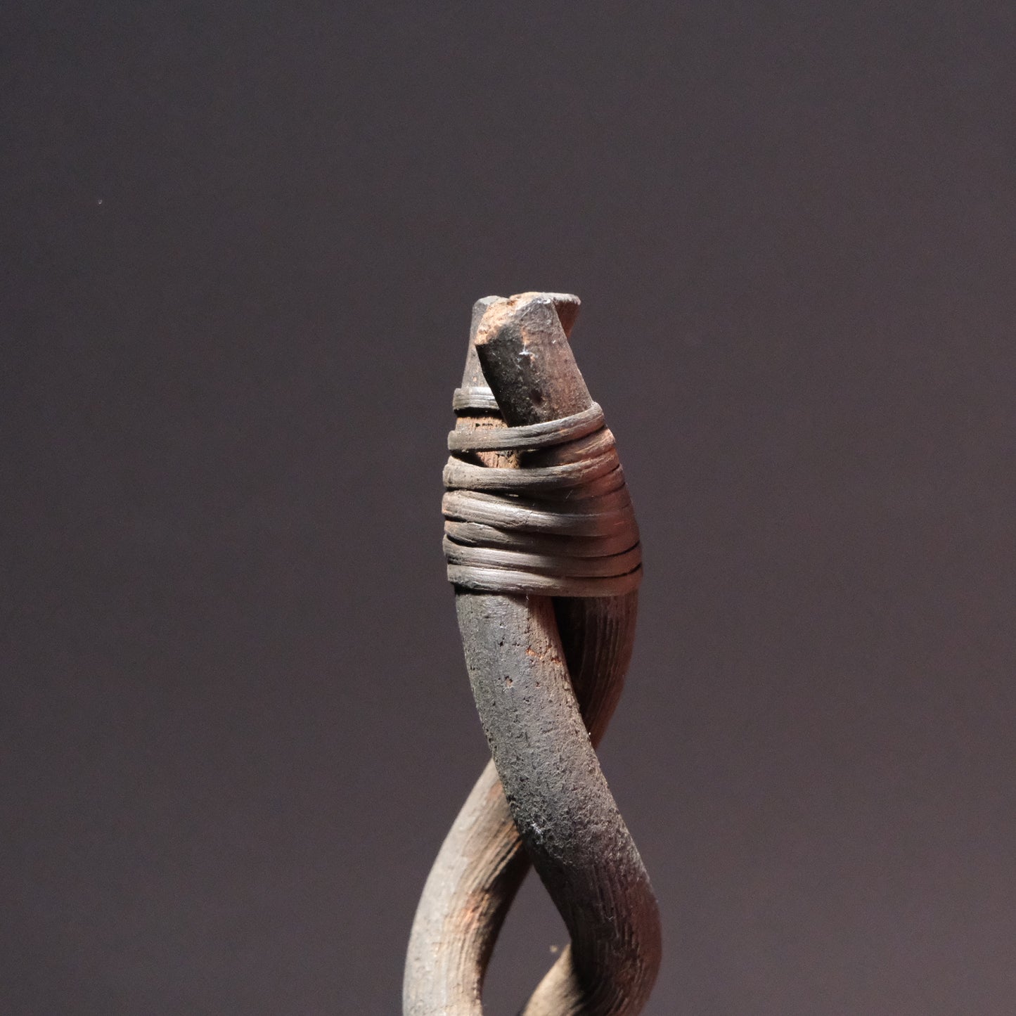 Twisted Staff