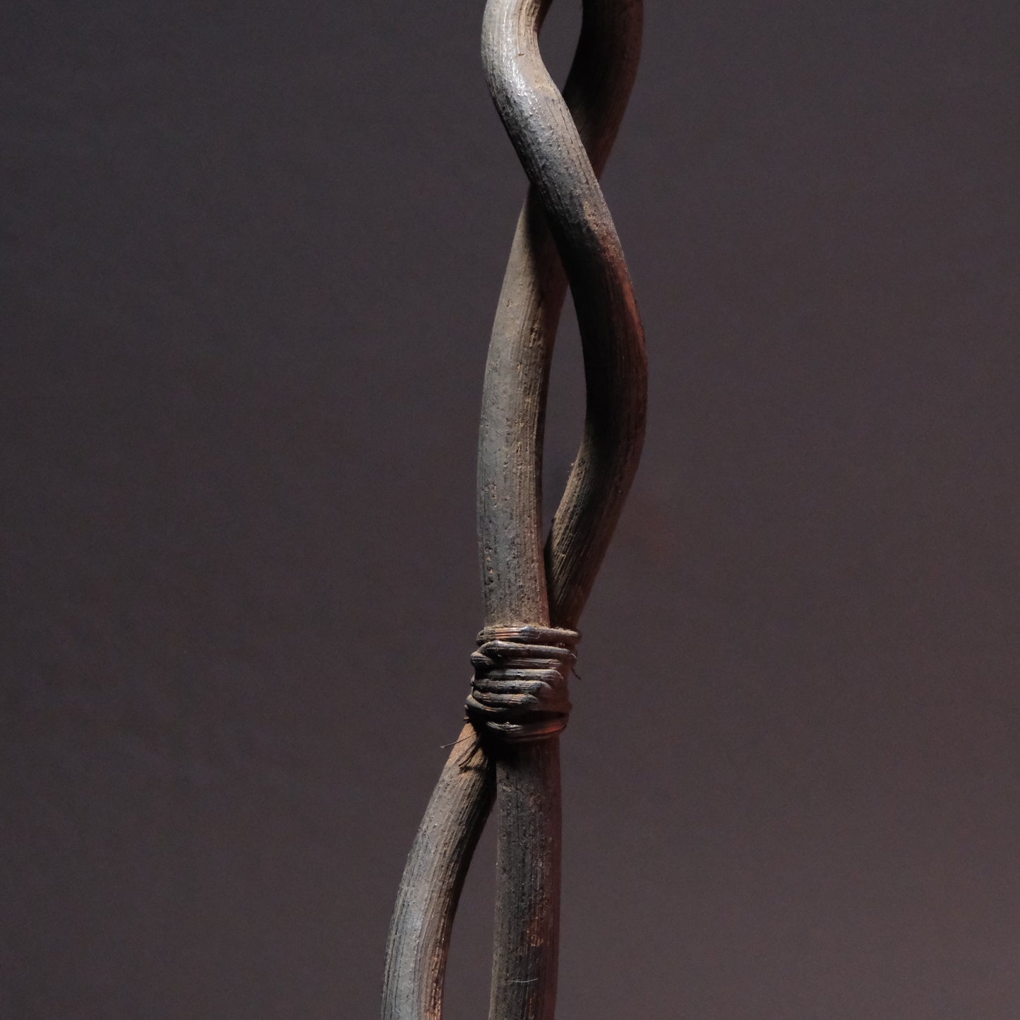Twisted Staff