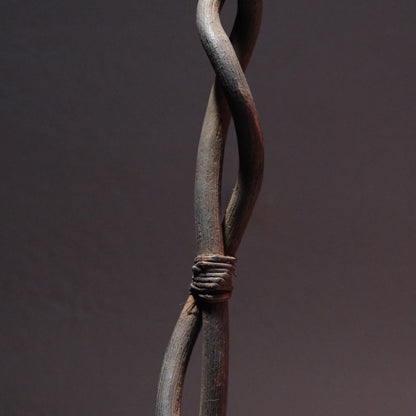 Twisted Staff
