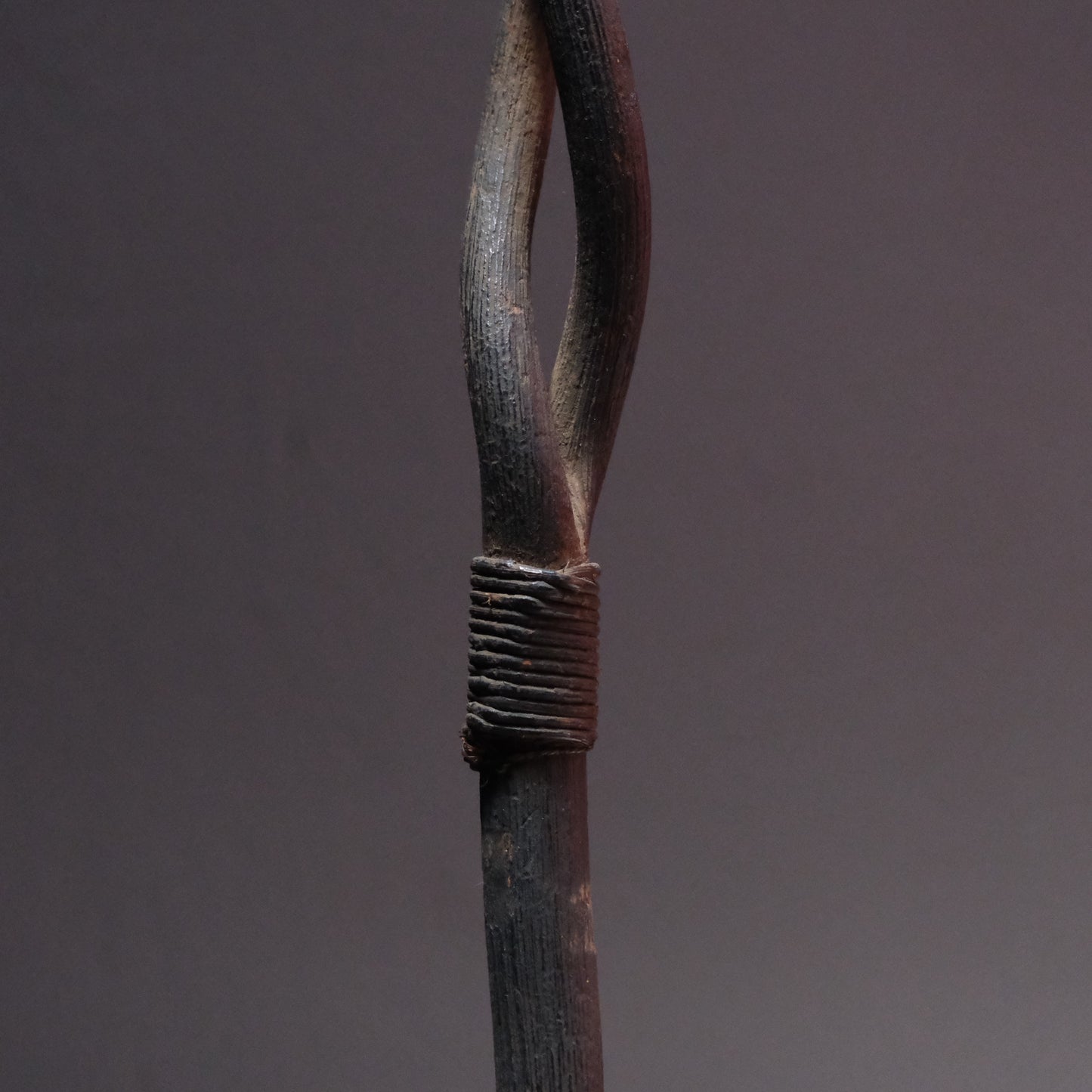 Twisted Staff