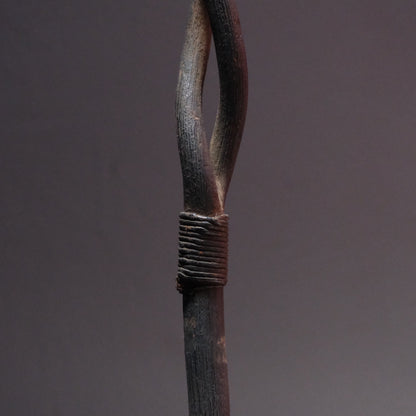 Twisted Staff
