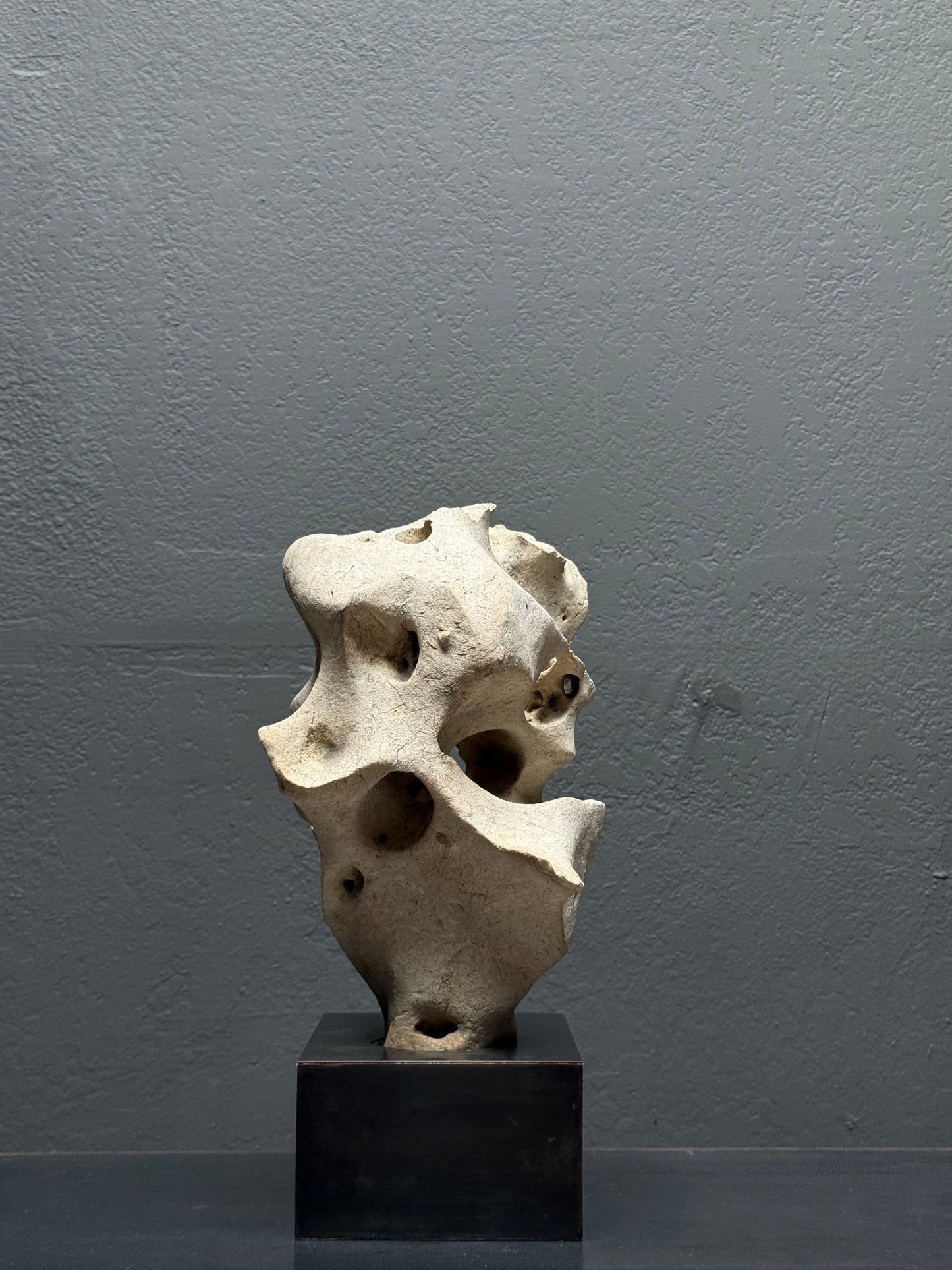 Full view of Philippine eroded tidal limestone on professional metal stand