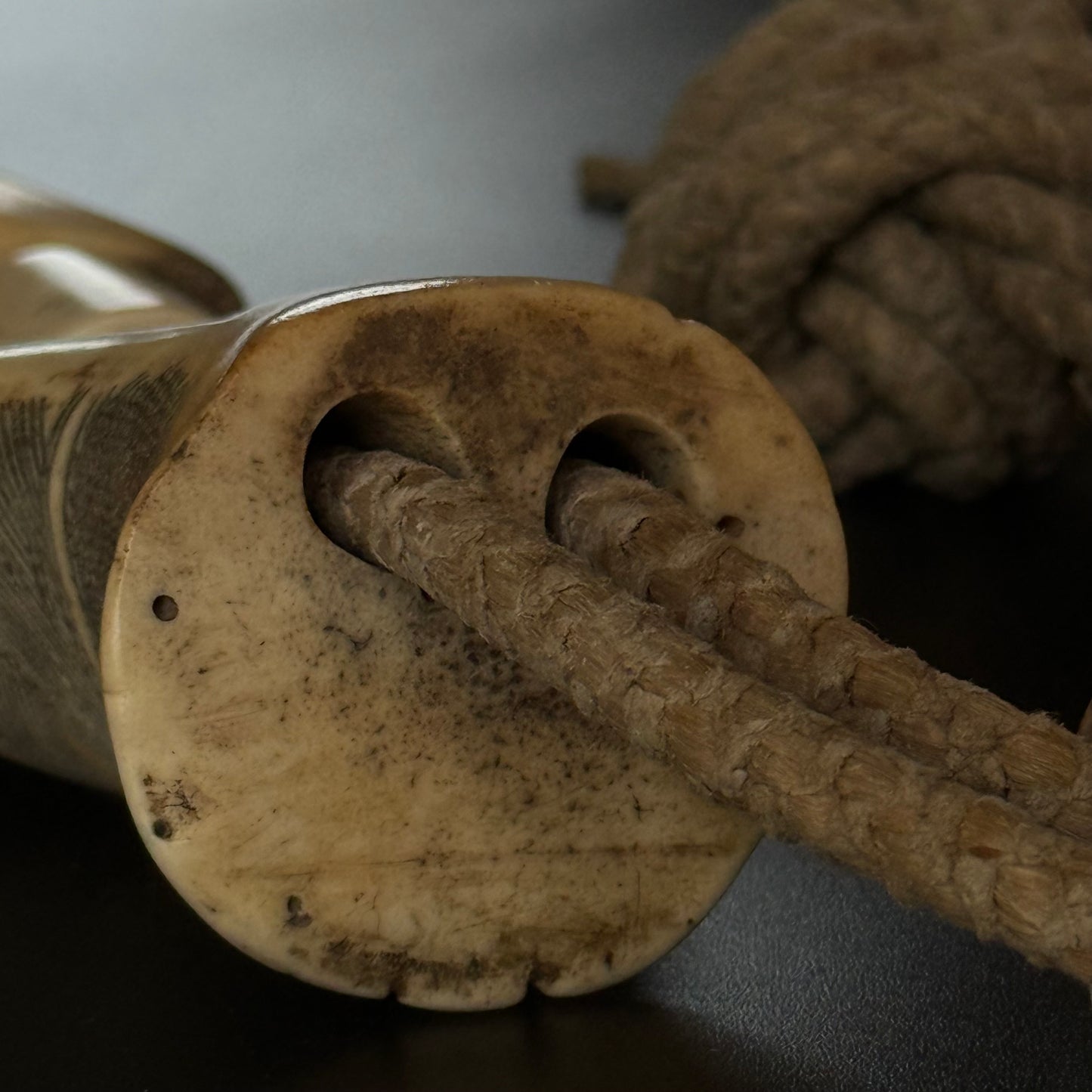 Full view of Edo period Japanese cow crupper, 37.5-inch length with bone beads