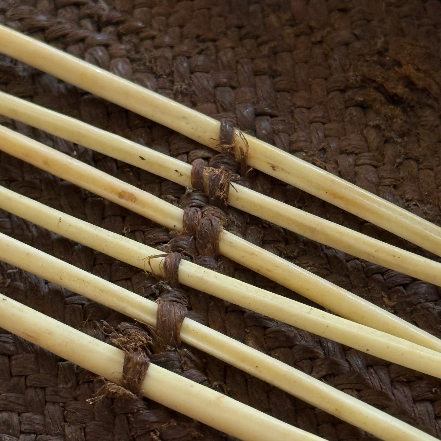 Detail of bird-bone needle inside pandanus fiber sewing kit, Oceania