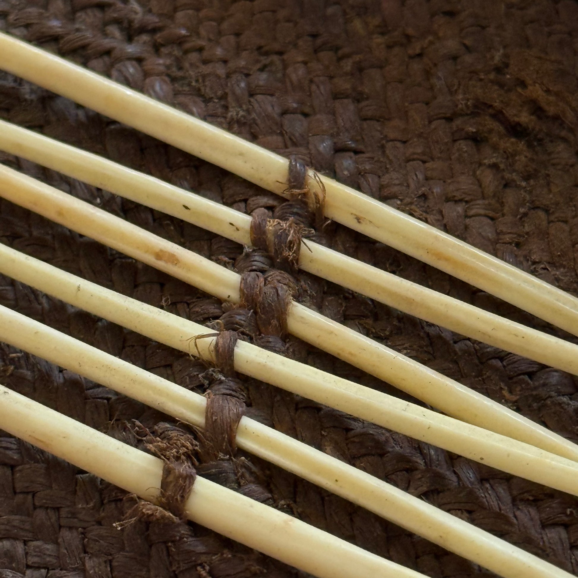 Detail of bird-bone needle inside pandanus fiber sewing kit, Oceania